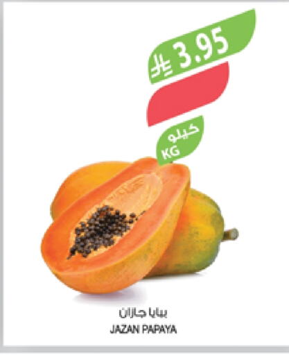 Fresh Fruits in Farm , Saudi Arabia Offers - Saudi Arabia Papaya available at Farm in KSA, Saudi Arabia, Saudi - Najran