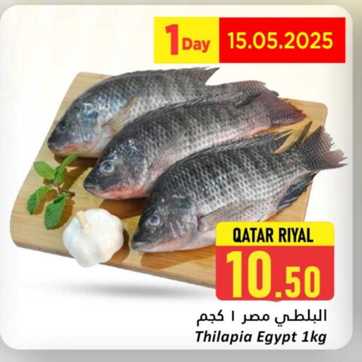 Fresh Fish in Dana Hypermarket, Qatar Offers - Qatar available at Dana Hypermarket in Qatar - Al-Shahaniya