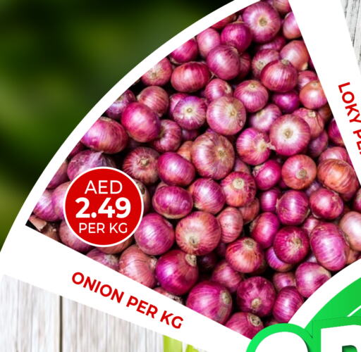 Onion available at Daylife Hypermarket LLC in UAE - Dubai