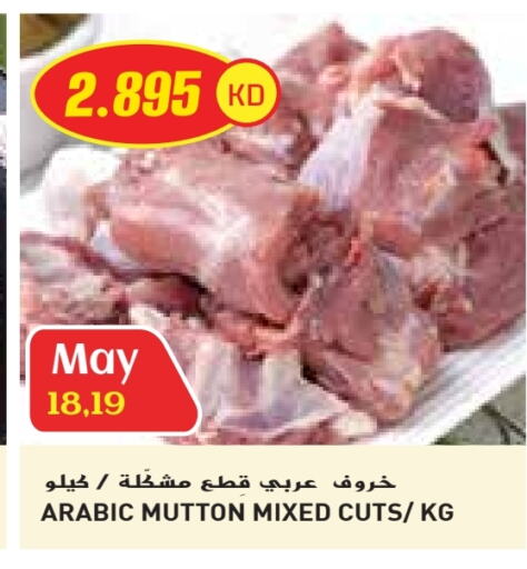 Meat - Fresh & Chilled in Grand Costo, Kuwait Offers - Kuwait Mutton / Lamb available at Grand Costo in Kuwait - Ahmadi Governorate