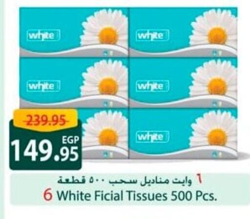Facial Tissue in Spinneys , Egypt Offers - Egypt available at Spinneys in Egypt - Cairo