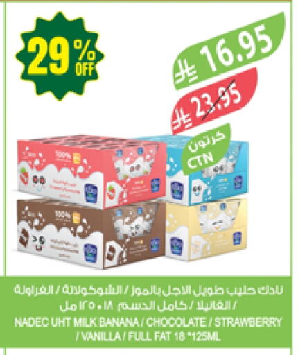 Milk & Laban in Farm , Saudi Arabia Offers - Saudi Arabia NADEC Flavoured Milk available at Farm in KSA, Saudi Arabia, Saudi - Sakaka