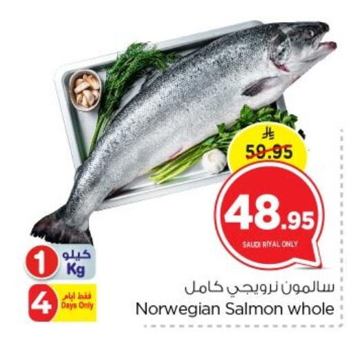 available at نستو in مملكة العربية السعودية, السعودية, سعودية - الرياض