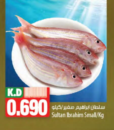 Fresh Fish in Mango Hypermarket , Kuwait Offers - Kuwait Mango available at Mango Hypermarket in Kuwait - Jahra Governorate