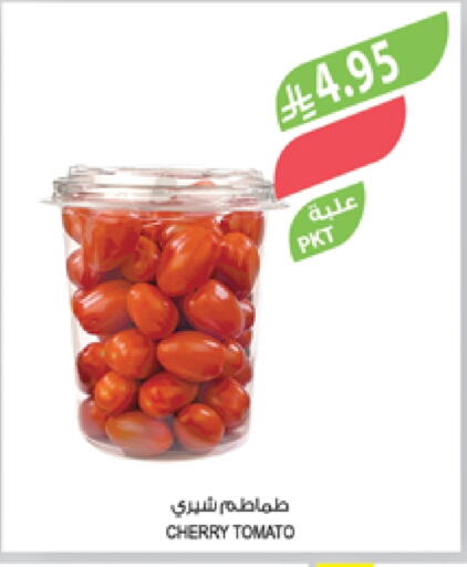 Tomato available at Farm  in KSA, Saudi Arabia, Saudi - Al Khobar