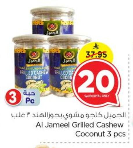 الفواكه المجففة و التمور in نستو, المملكة العربية السعودية Offers - المملكة العربية السعودية Coconut available at نستو in مملكة العربية السعودية, السعودية, سعودية - بريدة