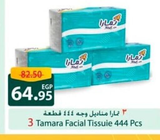 Facial Tissue in Spinneys , Egypt Offers - Egypt available at Spinneys in Egypt - Cairo