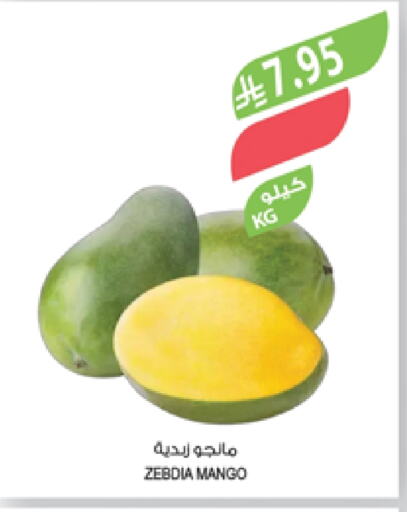 Fresh Fruits in Farm , Saudi Arabia Offers - Saudi Arabia Mangoes available at Farm in KSA, Saudi Arabia, Saudi - Qatif