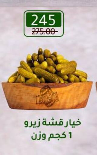 available at Wekalet Elmansoura - Dakahlia  in Egypt - Cairo