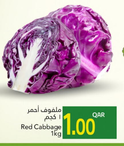 كرنب available at جلف فود سنتر in قطر - الريان