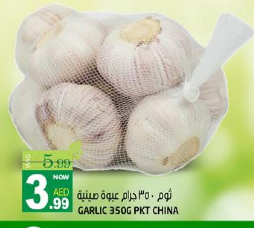 الخضروات الطازجة in هاشم هايبرماركت, UAE Offers - الإمارات العربية المتحدة ثوم from China available at هاشم هايبرماركت in الإمارات العربية المتحدة , الامارات - الشارقة / عجمان