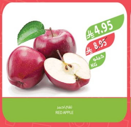 تفاح available at المزرعة in مملكة العربية السعودية, السعودية, سعودية - جدة