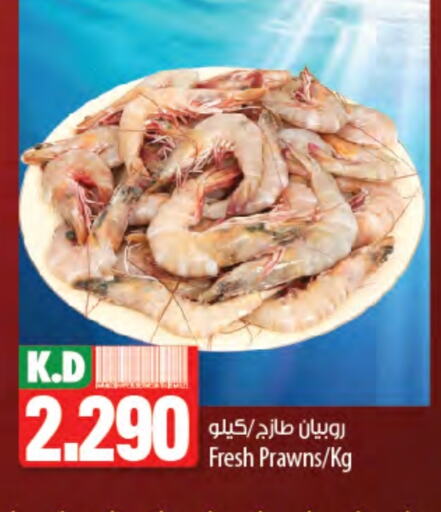 Fresh Fish in Mango Hypermarket , Kuwait Offers - Kuwait Mango available at Mango Hypermarket in Kuwait - Jahra Governorate