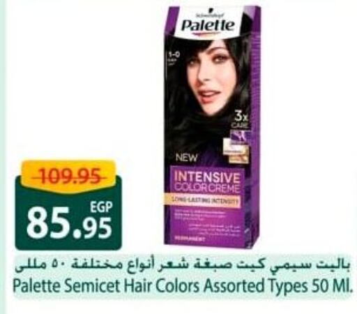 PALETTE Hair Colour available at Spinneys  in Egypt - Cairo