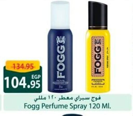 Fragrance in Spinneys , Egypt Offers - Egypt FOGG available at Spinneys in Egypt - Cairo