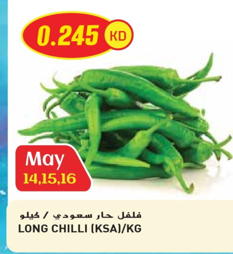 فلفل / فليفلة available at جراند هايبر in الكويت - محافظة الأحمدي