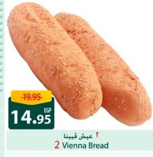 available at Spinneys  in Egypt - Cairo