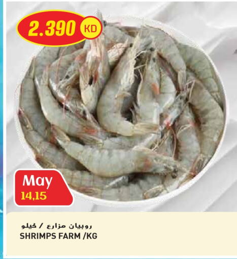 Fresh Fish in Grand Hyper, Kuwait Offers - Kuwait available at Grand Hyper in Kuwait - Ahmadi Governorate