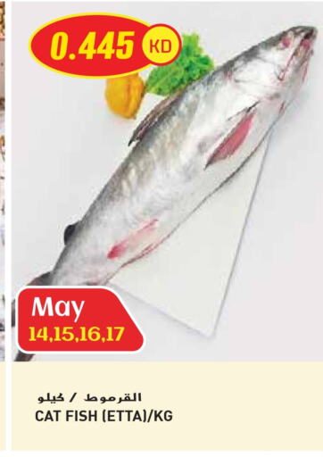 Fresh Fish in Grand Hyper, Kuwait Offers - Kuwait available at Grand Hyper in Kuwait - Jahra Governorate