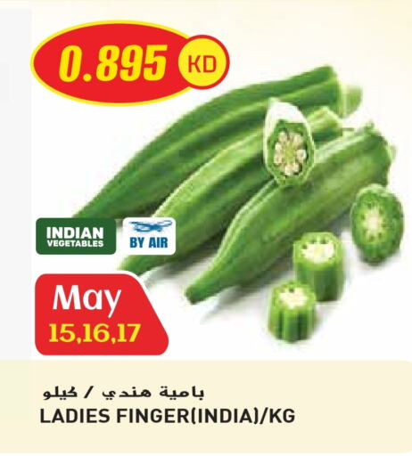 Fresh Vegetables in Grand Hyper, Kuwait Offers - Kuwait Lady's finger from India available at Grand Hyper in Kuwait - Ahmadi Governorate