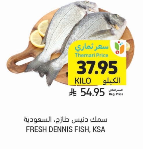 Fresh Fish in Tamimi Market, Saudi Arabia Offers - Saudi Arabia available at Tamimi Market in KSA, Saudi Arabia, Saudi - Tabuk