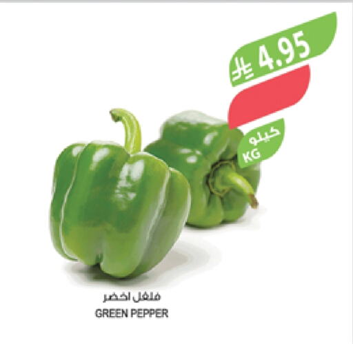 Fresh Vegetables in Farm , Saudi Arabia Offers - Saudi Arabia Chilli / Capsicum available at Farm in KSA, Saudi Arabia, Saudi - Najran