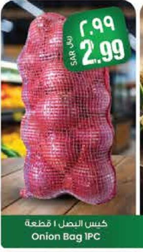 بصل available at ستي فلاور in مملكة العربية السعودية, السعودية, سعودية - حائل‎