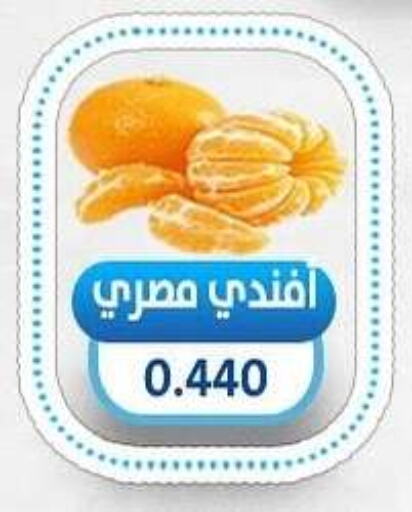 فاكهة طازجة in جمعية السالمية العاونية, الكويت Offers - الكويت برتقال available at جمعية السالمية العاونية in الكويت - مدينة الكويت