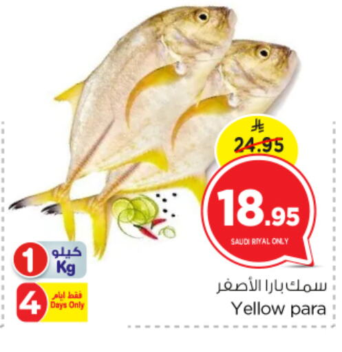 available at Nesto in KSA, Saudi Arabia, Saudi - Al Majmaah