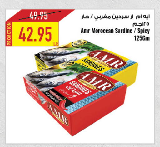 Canned & Packeted in Oscar Grand Stores , Egypt Offers - Egypt available at Oscar Grand Stores in Egypt - Cairo