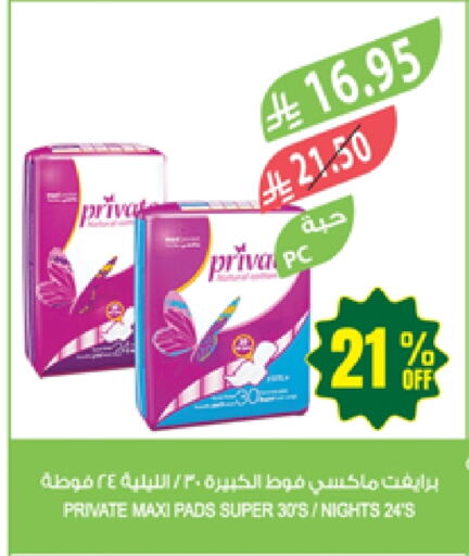 available at المزرعة in مملكة العربية السعودية, السعودية, سعودية - الباحة