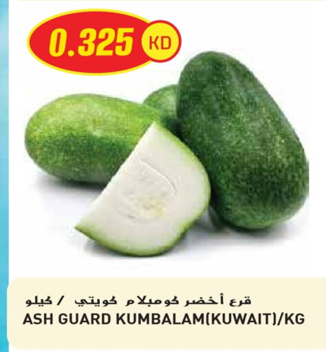 الخضروات الطازجة in جراند هايبر, الكويت Offers - الكويت from Kuwait available at جراند هايبر in الكويت - محافظة الأحمدي