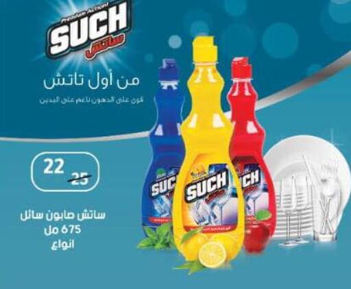 Cleaning in Wekalet Elmansoura - Dakahlia , Egypt Offers - Egypt available at Wekalet Elmansoura - Dakahlia in Egypt - Cairo