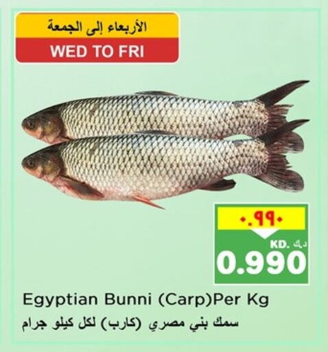 Fresh Fish in Nesto Hypermarkets, Kuwait Offers - Kuwait available at Nesto Hypermarkets in Kuwait - Ahmadi Governorate