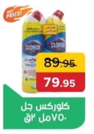 تنظيف in بيك مارت, Egypt Offers - Egypt كلوركس منظف عام available at بيك مارت in Egypt - القاهرة