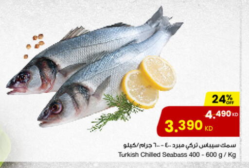 Fresh Fish in The Sultan Center, Kuwait Offers - Kuwait available at The Sultan Center in Kuwait - Jahra Governorate