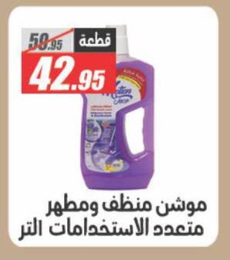 Cleaning in El Fergany Hyper Market , Egypt Offers - Egypt General Cleaner available at El Fergany Hyper Market in Egypt - Cairo
