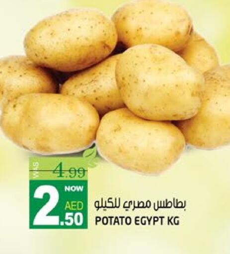 الخضروات الطازجة in هاشم هايبرماركت, UAE Offers - الإمارات العربية المتحدة بطاطا from Egypt available at هاشم هايبرماركت in الإمارات العربية المتحدة , الامارات - الشارقة / عجمان