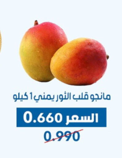 Fresh Fruits in Dahiyat Abdullah Al Salem and Mansourieh Cooperative Society, Kuwait Offers - Kuwait Mango Mango available at Dahiyat Abdullah Al Salem and Mansourieh Cooperative Society in Kuwait - Jahra Governorate