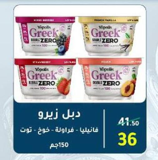 Greek Yoghurt available at Wekalet Elmansoura - Dakahlia  in Egypt - Cairo
