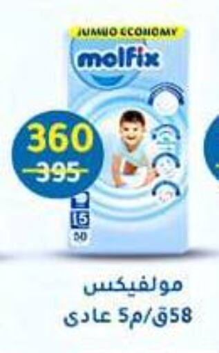 MOLFIX available at Wekalet Elmansoura - Dakahlia  in Egypt - Cairo