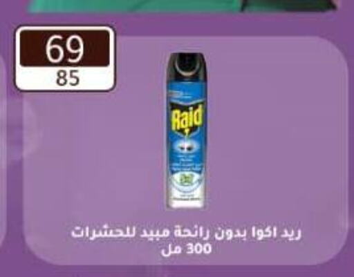 RAID available at Wekalet Elmansoura - Dakahlia  in Egypt - Cairo