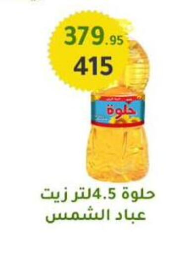 زيت دوار الشمس available at وكالة المنصورة - الدقهلية‎ in Egypt - القاهرة