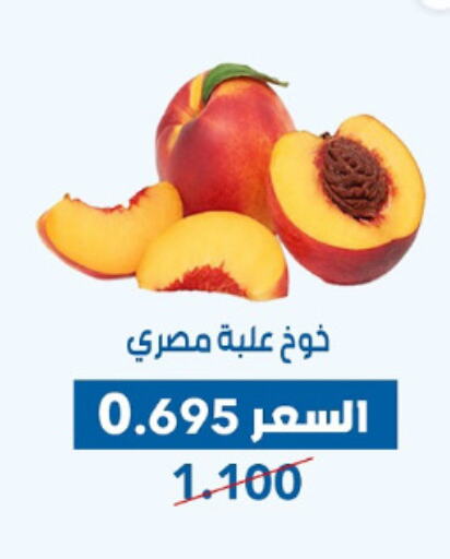 Fresh Fruits in Dahiyat Abdullah Al Salem and Mansourieh Cooperative Society, Kuwait Offers - Kuwait Peach available at Dahiyat Abdullah Al Salem and Mansourieh Cooperative Society in Kuwait - Jahra Governorate
