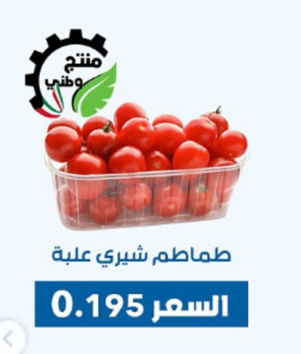 Fresh Vegetables in Dahiyat Abdullah Al Salem and Mansourieh Cooperative Society, Kuwait Offers - Kuwait Tomato available at Dahiyat Abdullah Al Salem and Mansourieh Cooperative Society in Kuwait - Jahra Governorate