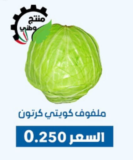 Fresh Vegetables in Dahiyat Abdullah Al Salem and Mansourieh Cooperative Society, Kuwait Offers - Kuwait Cabbage available at Dahiyat Abdullah Al Salem and Mansourieh Cooperative Society in Kuwait - Jahra Governorate