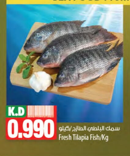 Fresh Fish in Mango Hypermarket , Kuwait Offers - Kuwait Mango available at Mango Hypermarket in Kuwait - Ahmadi Governorate