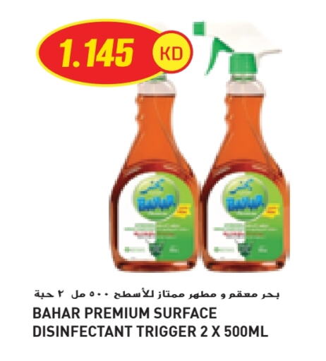 بهار مطهر available at جراند كوستو in الكويت - محافظة الأحمدي