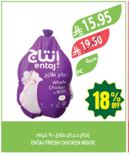 Fresh Whole Chicken available at Farm  in KSA, Saudi Arabia, Saudi - Al Hasa