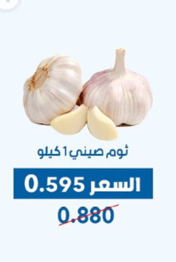 Fresh Vegetables in Dahiyat Abdullah Al Salem and Mansourieh Cooperative Society, Kuwait Offers - Kuwait Garlic available at Dahiyat Abdullah Al Salem and Mansourieh Cooperative Society in Kuwait - Jahra Governorate